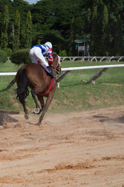 horse racing game bet