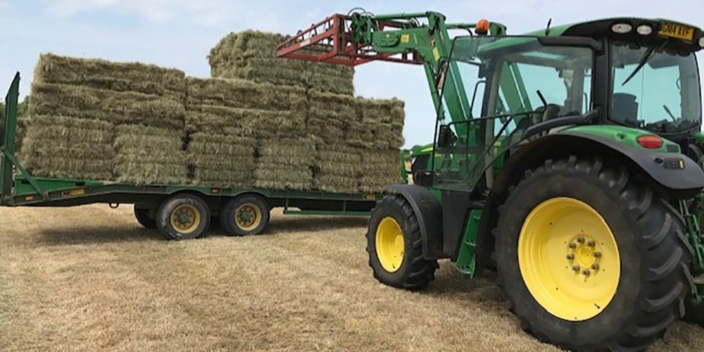 Compton_Farming_5