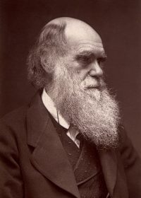 Darwin_-_John_G_Murdoch_Portrait_restored